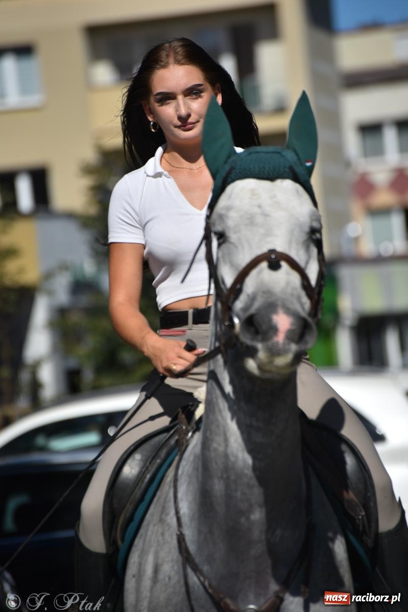 Zdjęcie w galerii na portalu naszraciborz.pl: Hubertus na Ostrogu. Jeźdźcy, bryczki i pogoń za lisem w Raciborzu wiadomości z regionu