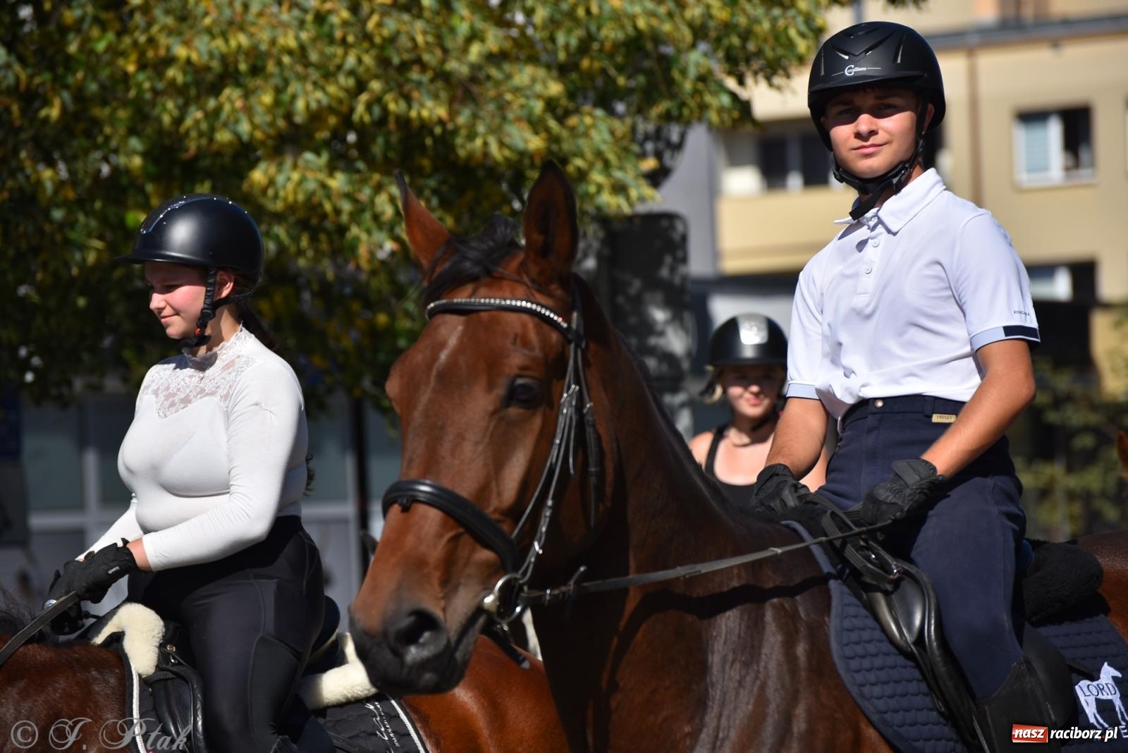 Zdjęcie w galerii na portalu naszraciborz.pl: Hubertus na Ostrogu. Jeźdźcy, bryczki i pogoń za lisem w Raciborzu wiadomości z regionu