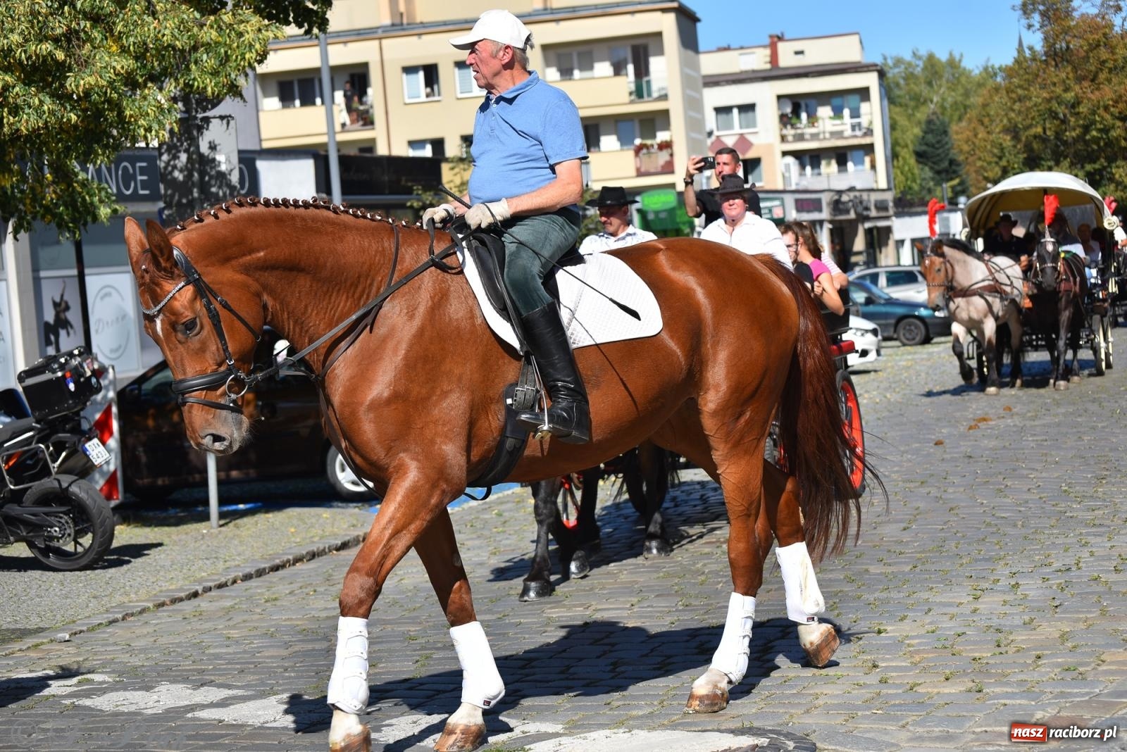Zdjęcie w galerii na portalu naszraciborz.pl: Hubertus na Ostrogu. Jeźdźcy, bryczki i pogoń za lisem w Raciborzu wiadomości z regionu