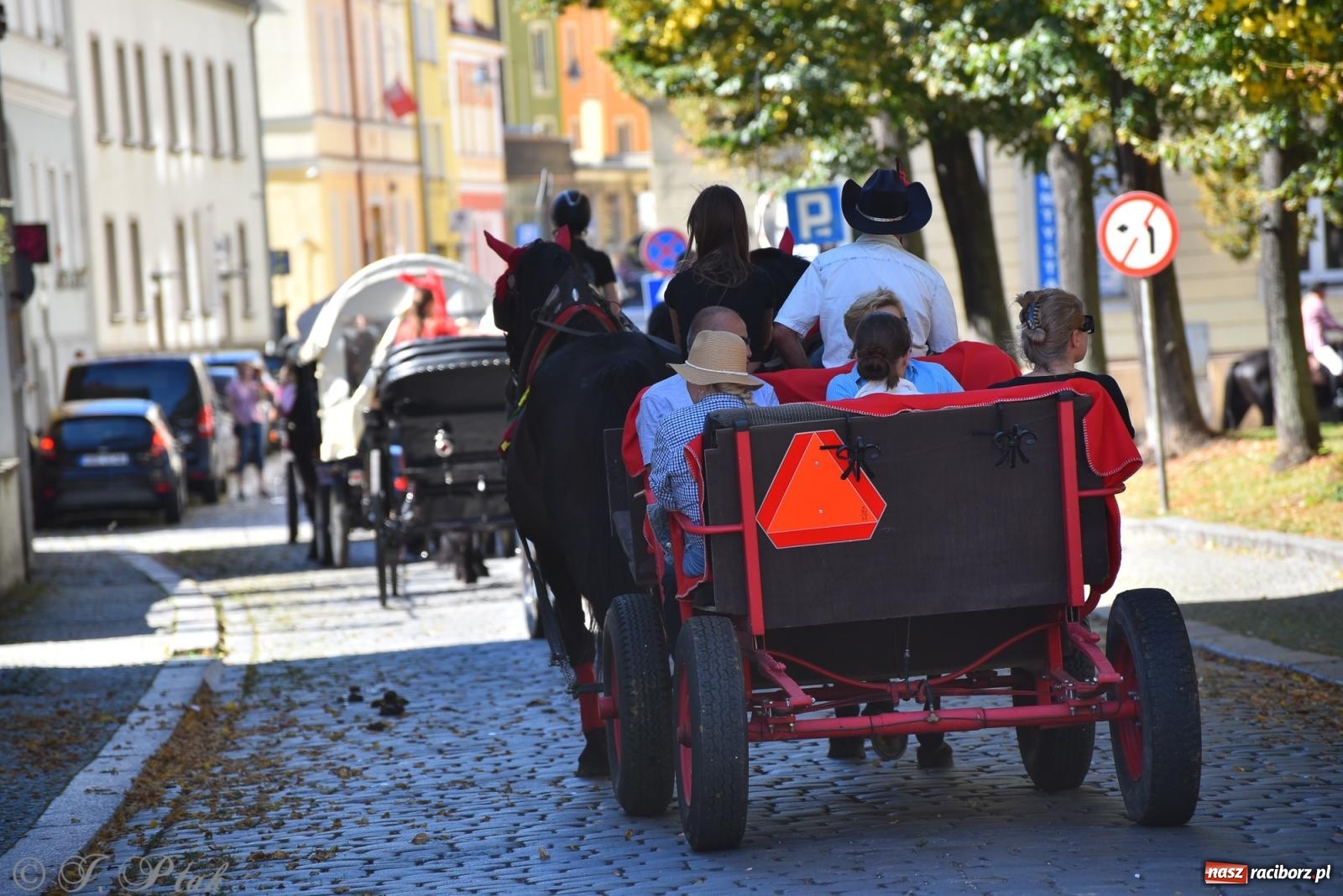 Zdjęcie w galerii na portalu naszraciborz.pl: Hubertus na Ostrogu. Jeźdźcy, bryczki i pogoń za lisem w Raciborzu wiadomości z regionu