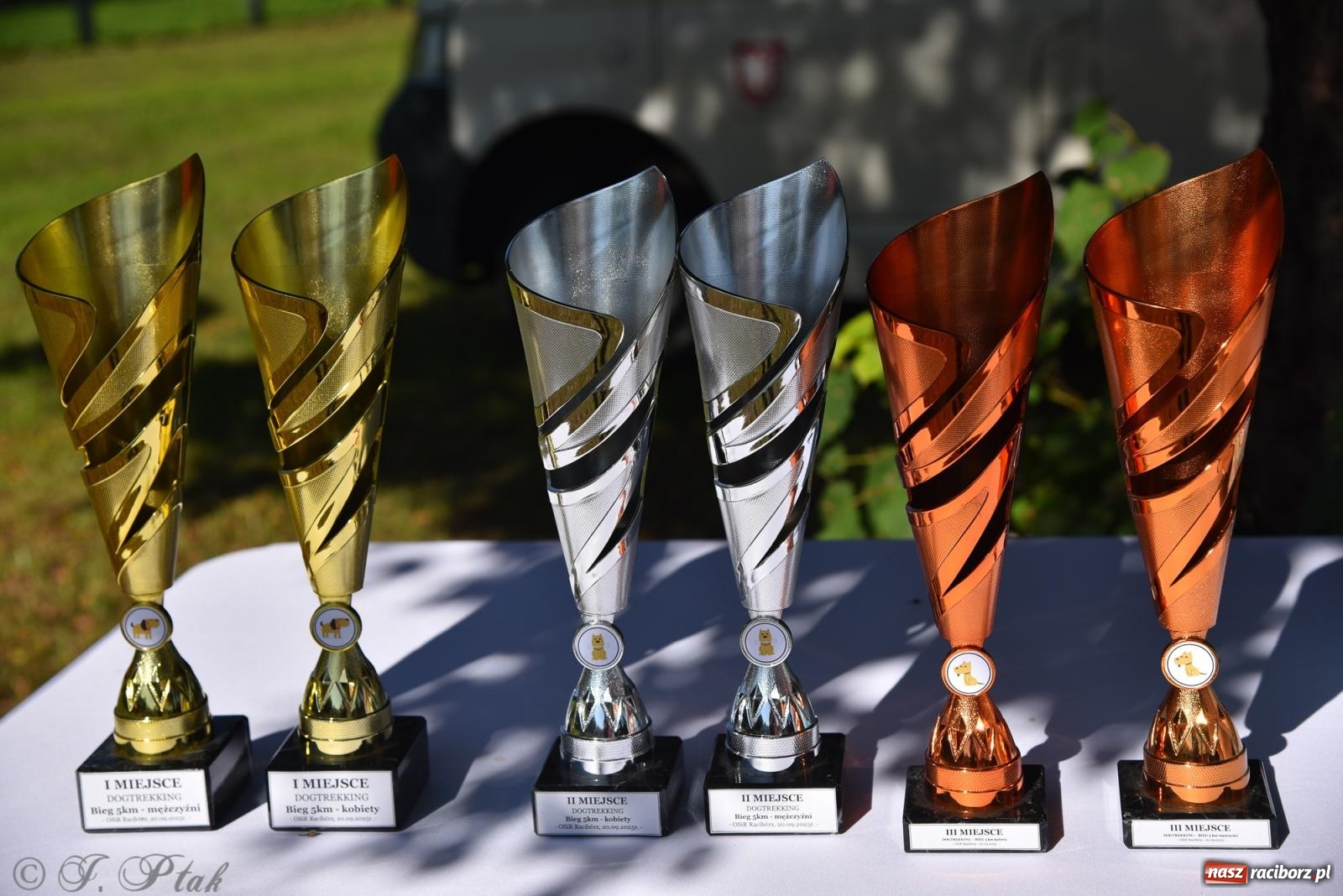 Zdjęcie w galerii na portalu naszraciborz.pl: Dogtrekking w Raciborzu przyciągnął miłośników czworonogów [FOTO] wiadomości z regionu