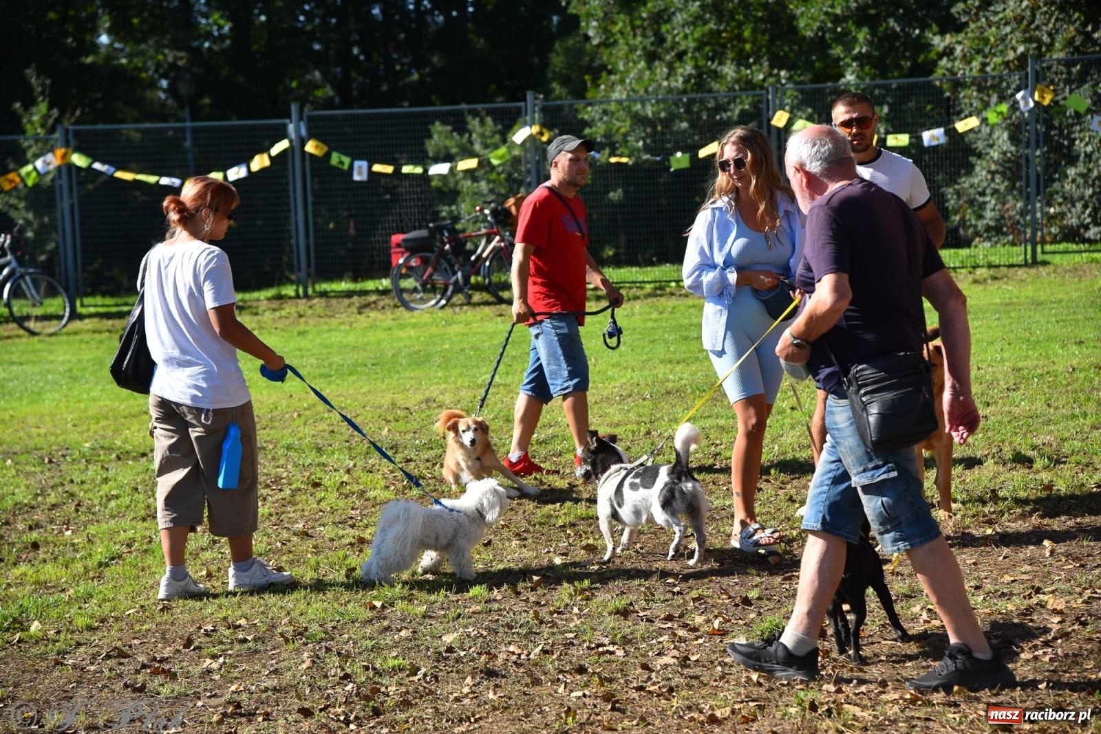 Zdjęcie w galerii na portalu naszraciborz.pl: Dogtrekking w Raciborzu przyciągnął miłośników czworonogów [FOTO] wiadomości z regionu