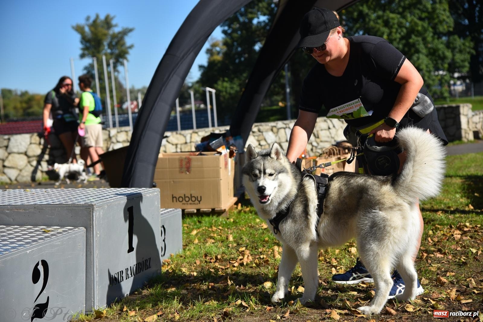 Zdjęcie w galerii na portalu naszraciborz.pl: Dogtrekking w Raciborzu przyciągnął miłośników czworonogów [FOTO] wiadomości z regionu