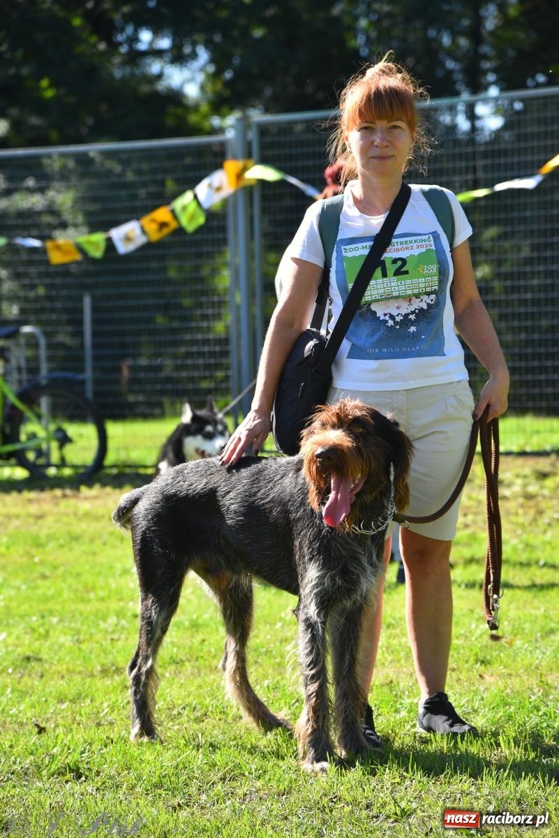 Zdjęcie w galerii na portalu naszraciborz.pl: Dogtrekking w Raciborzu przyciągnął miłośników czworonogów [FOTO] wiadomości z regionu