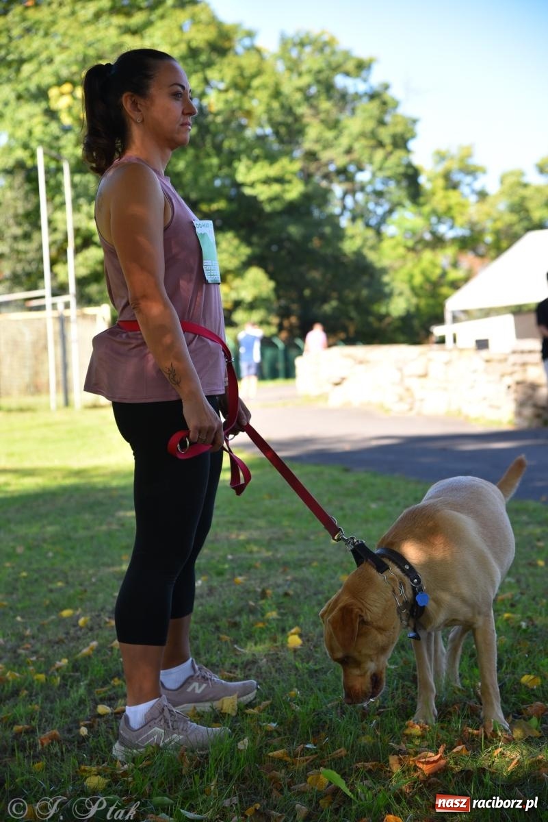 Zdjęcie w galerii na portalu naszraciborz.pl: Dogtrekking w Raciborzu przyciągnął miłośników czworonogów [FOTO] wiadomości z regionu