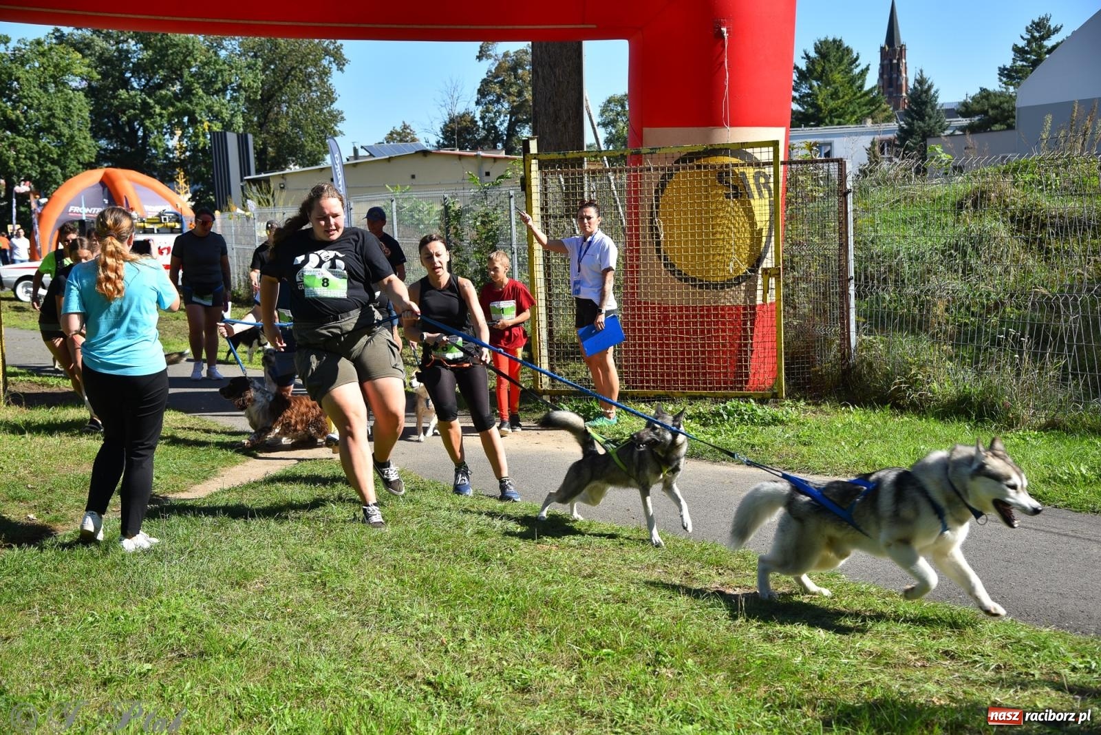 Zdjęcie w galerii na portalu naszraciborz.pl: Dogtrekking w Raciborzu przyciągnął miłośników czworonogów [FOTO] wiadomości z regionu