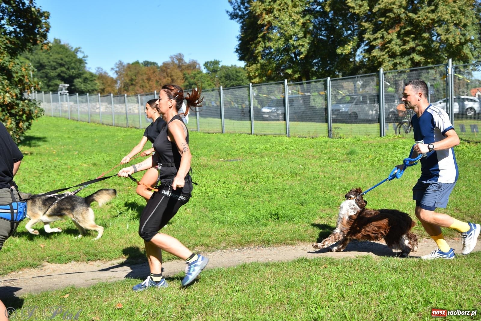 Zdjęcie w galerii na portalu naszraciborz.pl: Dogtrekking w Raciborzu przyciągnął miłośników czworonogów [FOTO] wiadomości z regionu