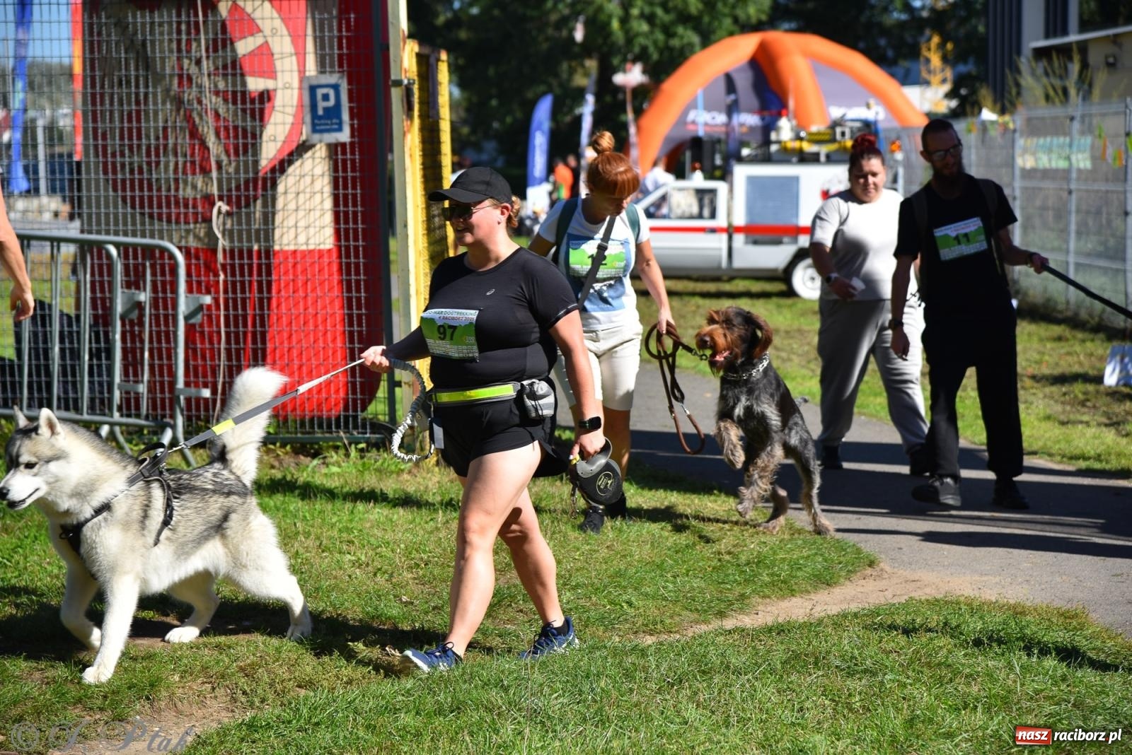 Zdjęcie w galerii na portalu naszraciborz.pl: Dogtrekking w Raciborzu przyciągnął miłośników czworonogów [FOTO] wiadomości z regionu