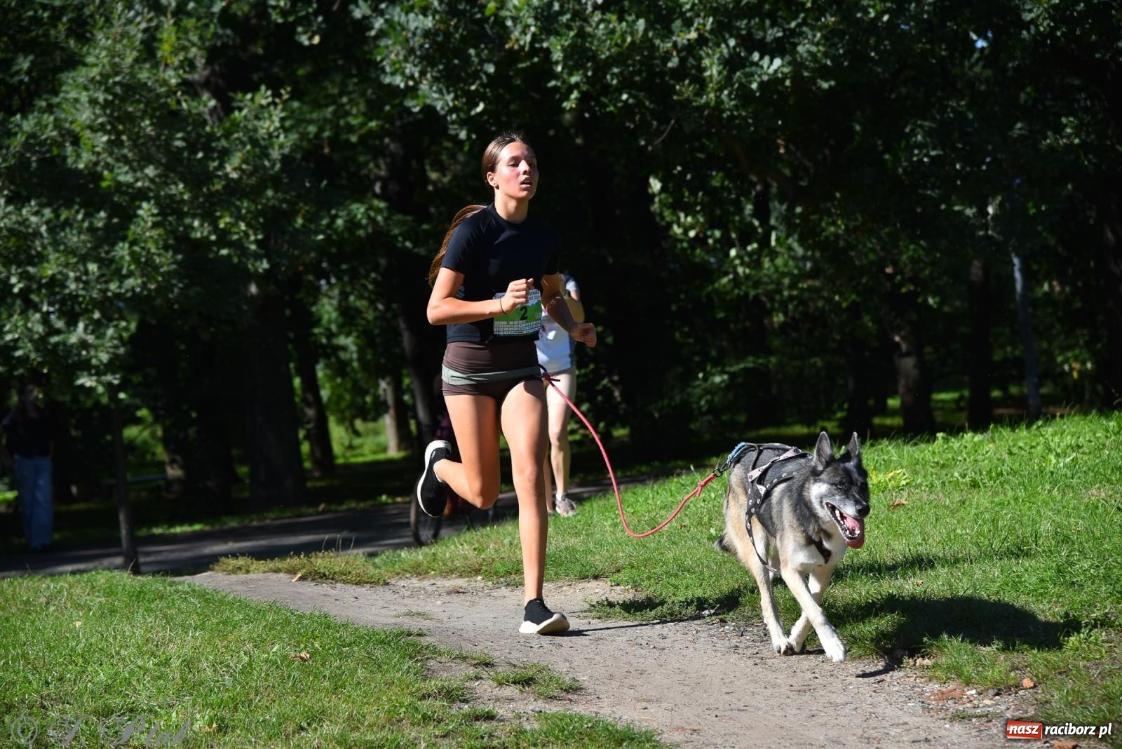 Zdjęcie w galerii na portalu naszraciborz.pl: Dogtrekking w Raciborzu przyciągnął miłośników czworonogów [FOTO] wiadomości z regionu