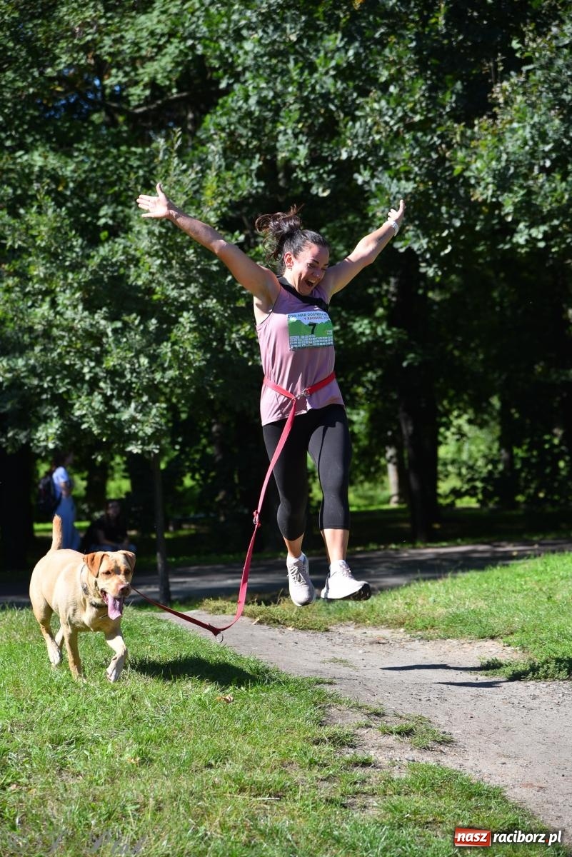 Zdjęcie w galerii na portalu naszraciborz.pl: Dogtrekking w Raciborzu przyciągnął miłośników czworonogów [FOTO] wiadomości z regionu