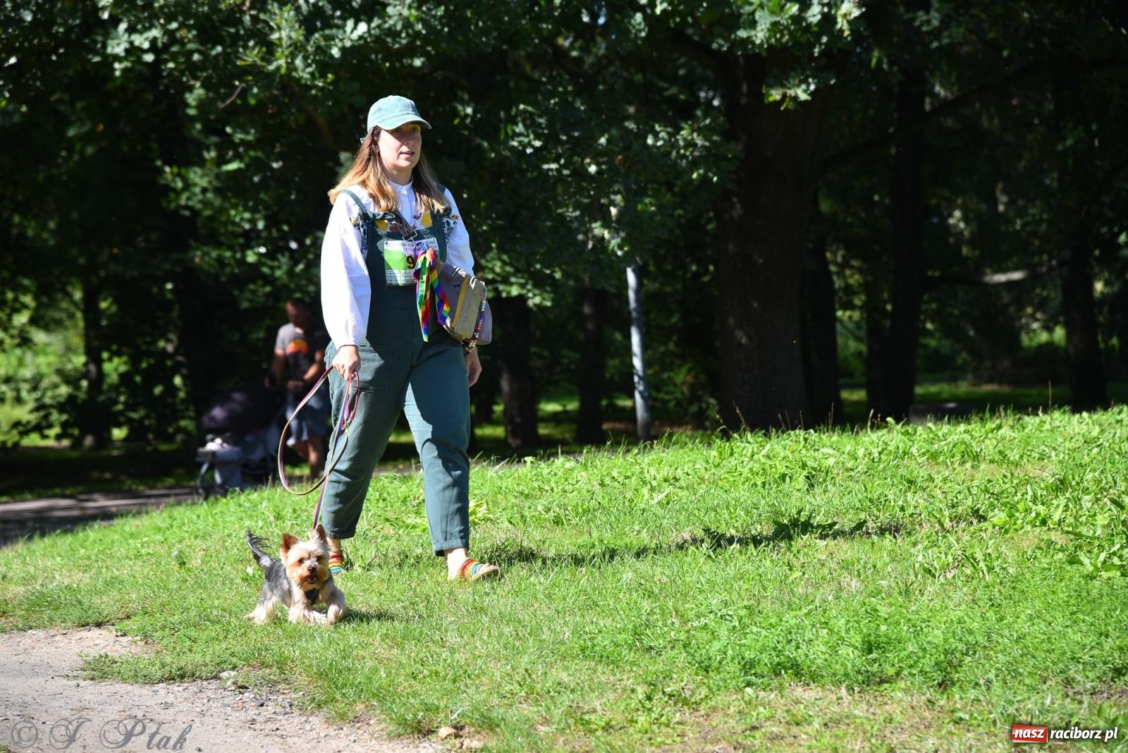 Zdjęcie w galerii na portalu naszraciborz.pl: Dogtrekking w Raciborzu przyciągnął miłośników czworonogów [FOTO] wiadomości z regionu