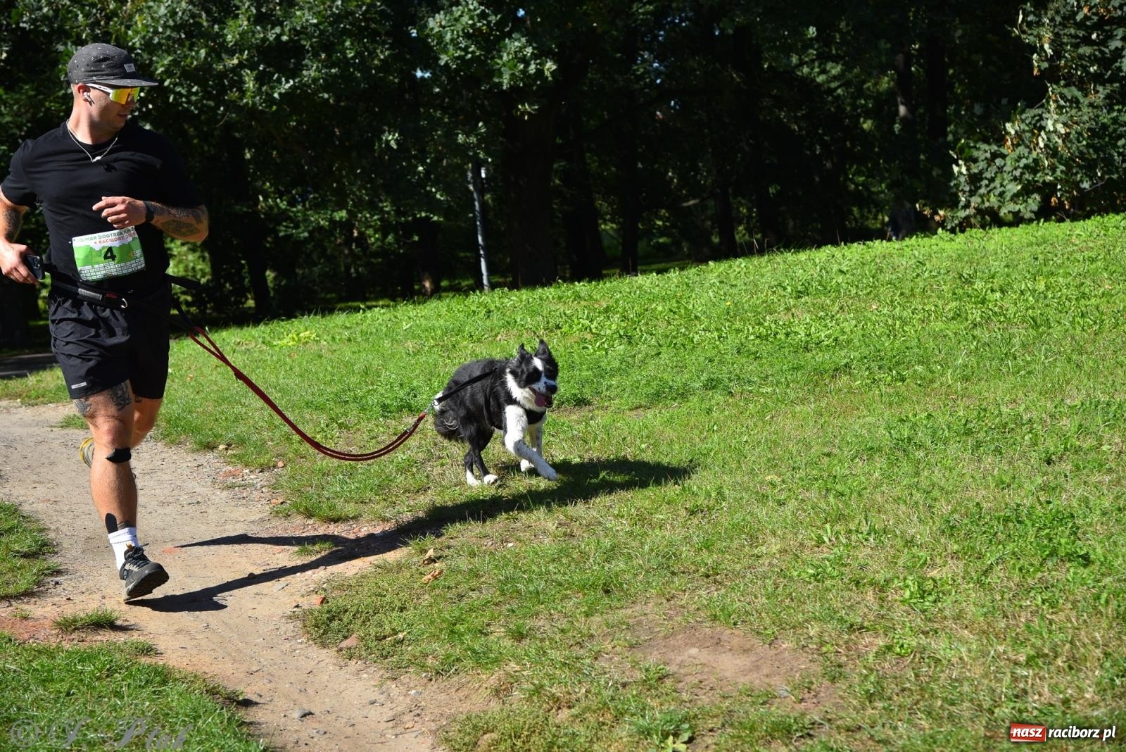 Zdjęcie w galerii na portalu naszraciborz.pl: Dogtrekking w Raciborzu przyciągnął miłośników czworonogów [FOTO] wiadomości z regionu