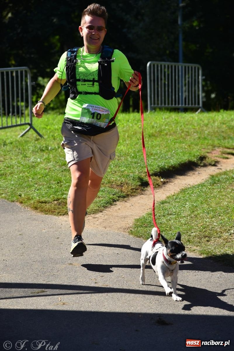 Zdjęcie w galerii na portalu naszraciborz.pl: Dogtrekking w Raciborzu przyciągnął miłośników czworonogów [FOTO] wiadomości z regionu