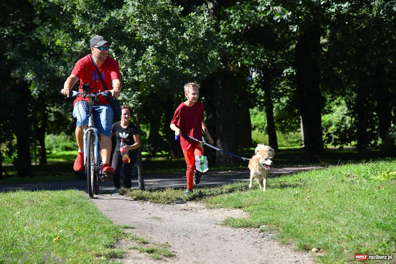Zdjęcie w galerii na portalu naszraciborz.pl: Dogtrekking w Raciborzu przyciągnął miłośników czworonogów [FOTO] wiadomości z regionu