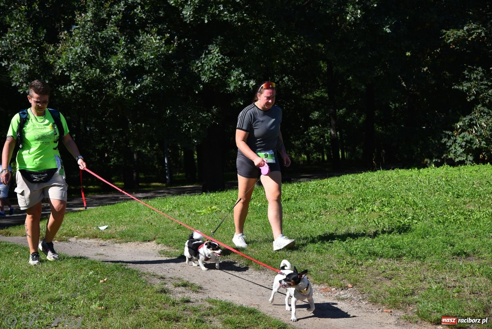 Zdjęcie w galerii na portalu naszraciborz.pl: Dogtrekking w Raciborzu przyciągnął miłośników czworonogów [FOTO] wiadomości z regionu