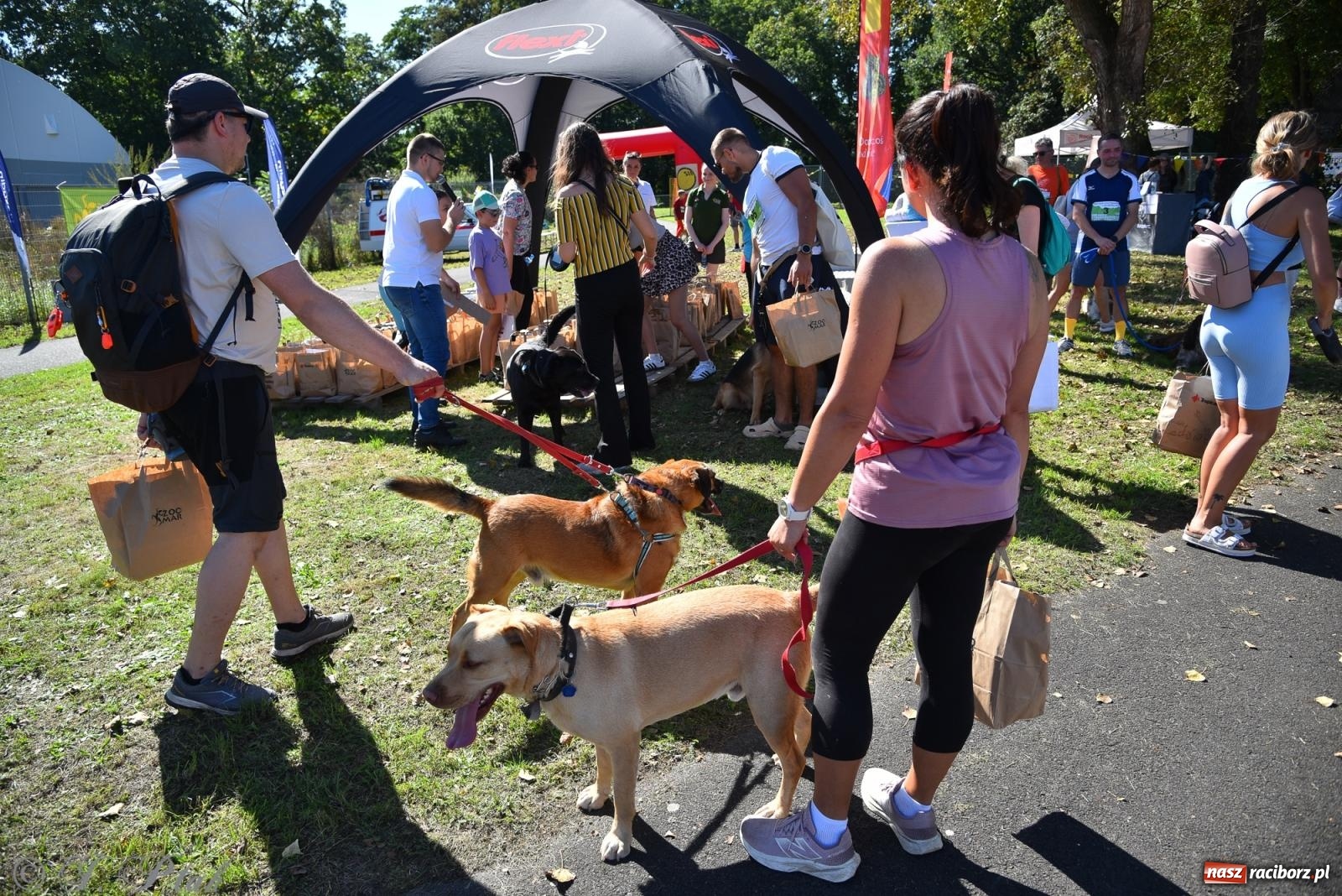 Zdjęcie w galerii na portalu naszraciborz.pl: Dogtrekking w Raciborzu przyciągnął miłośników czworonogów [FOTO] wiadomości z regionu