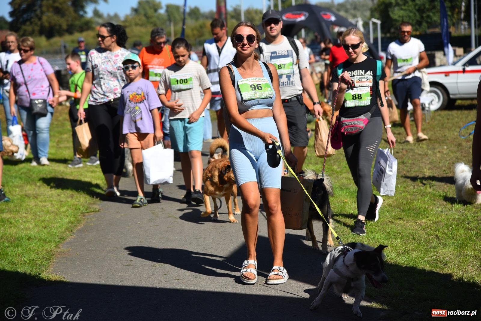 Zdjęcie w galerii na portalu naszraciborz.pl: Dogtrekking w Raciborzu przyciągnął miłośników czworonogów [FOTO] wiadomości z regionu