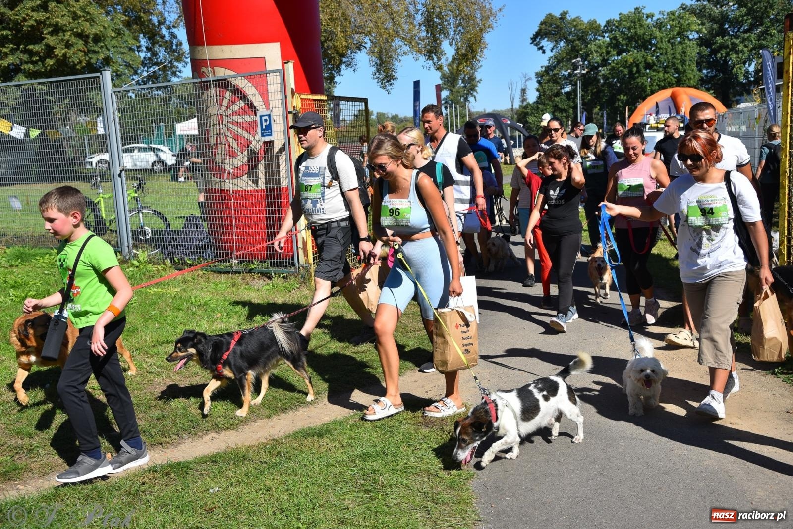 Zdjęcie w galerii na portalu naszraciborz.pl: Dogtrekking w Raciborzu przyciągnął miłośników czworonogów [FOTO] wiadomości z regionu