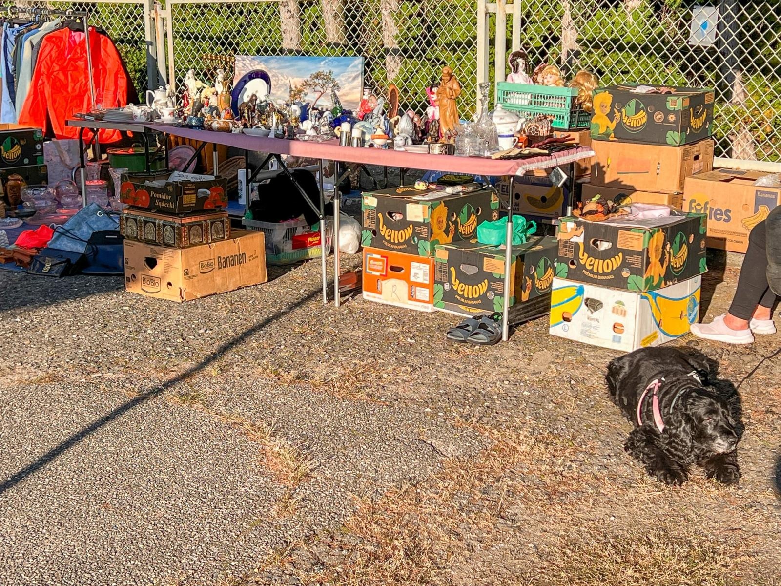 Zdjęcie w galerii na portalu naszraciborz.pl: Starych rzeczy się nie wyrzuca! Jarmark na Granicy pęka w szwach wiadomości z regionu