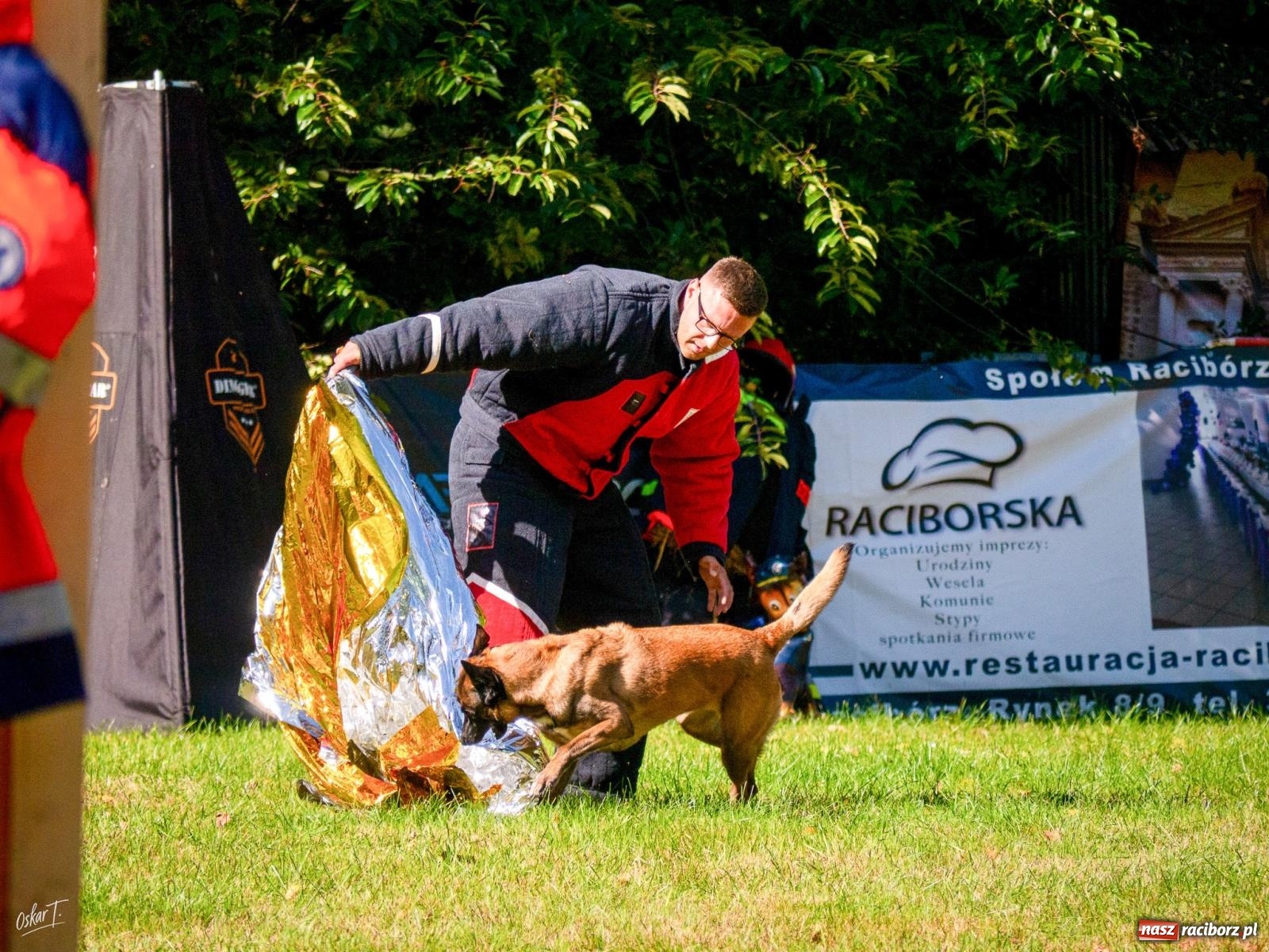 Zdjęcie w galerii na portalu naszraciborz.pl: Psy w akcji w Babicach. Trwa Mondioring Cup of Nations wiadomości z regionu