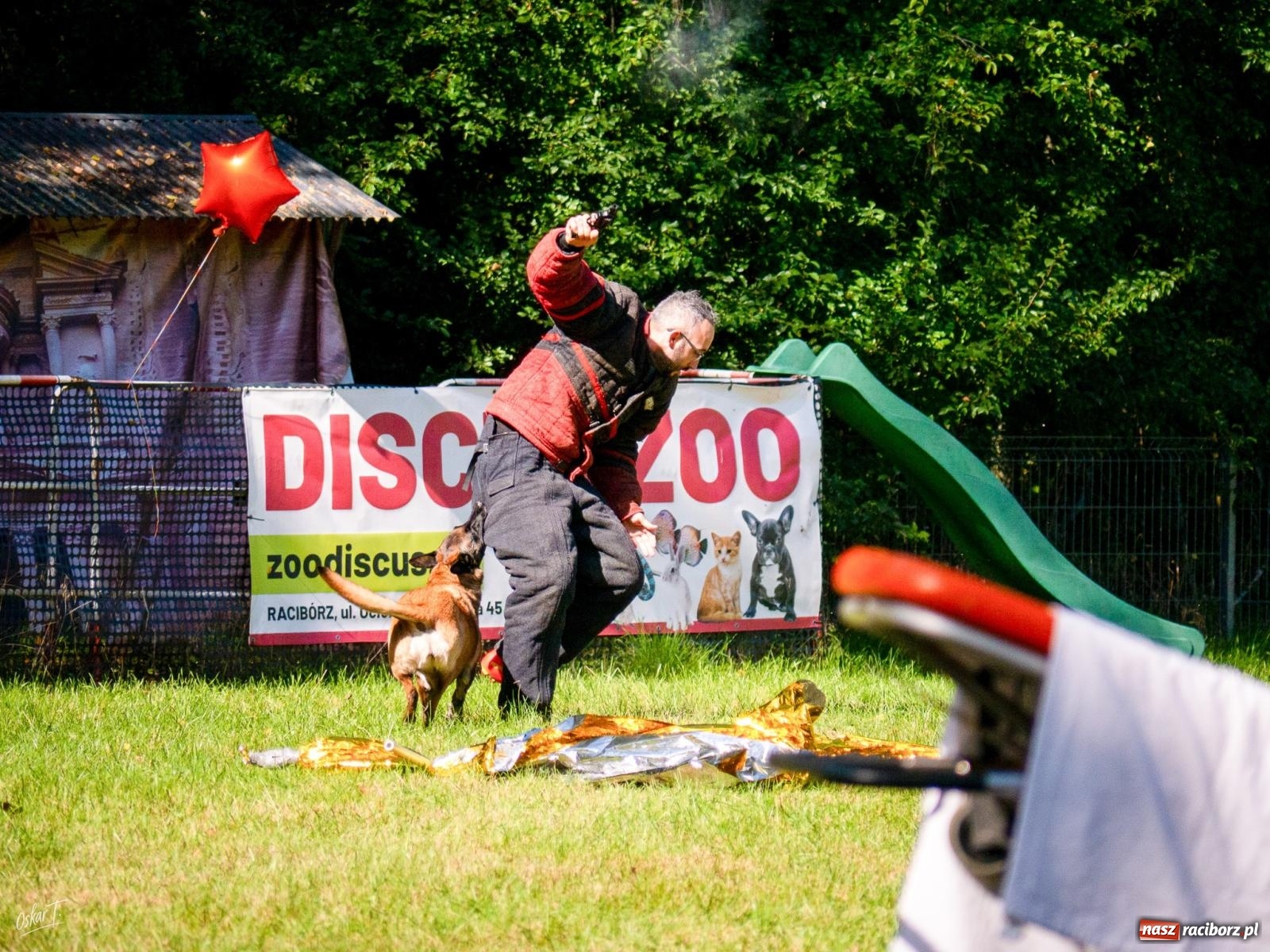 Zdjęcie w galerii na portalu naszraciborz.pl: Psy w akcji w Babicach. Trwa Mondioring Cup of Nations wiadomości z regionu