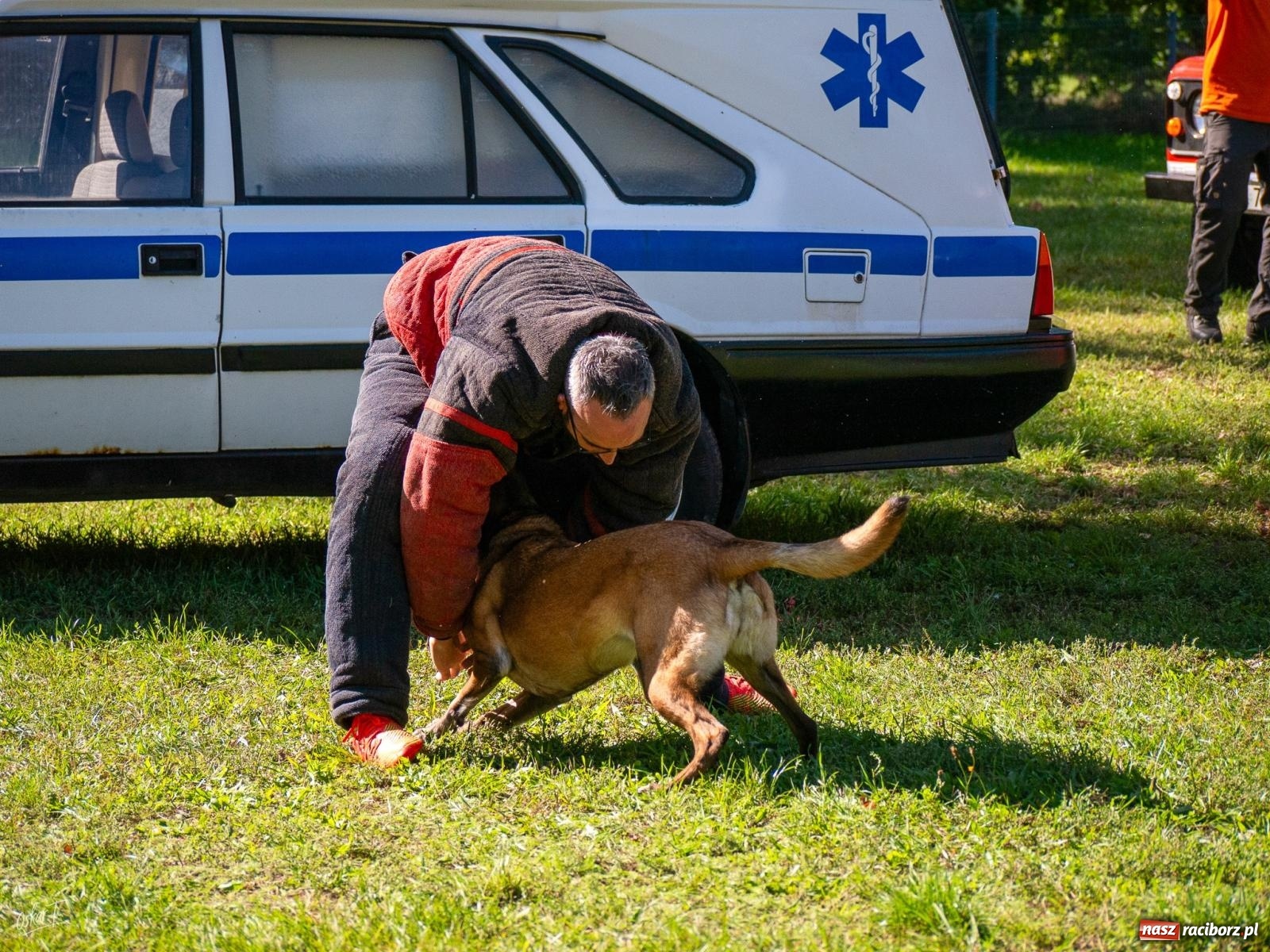 Zdjęcie w galerii na portalu naszraciborz.pl: Psy w akcji w Babicach. Trwa Mondioring Cup of Nations wiadomości z regionu