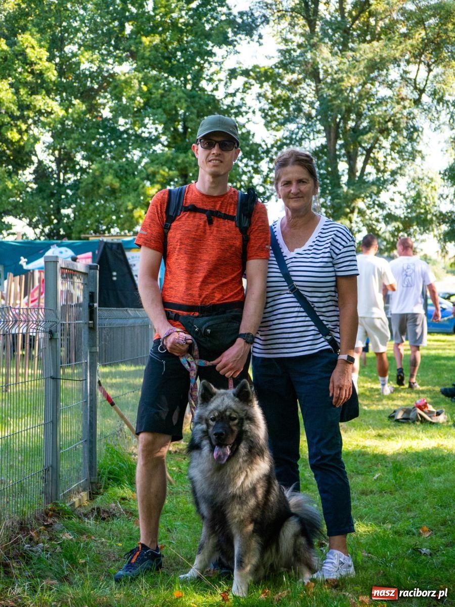 Zdjęcie w galerii na portalu naszraciborz.pl: Psy w akcji w Babicach. Trwa Mondioring Cup of Nations wiadomości z regionu