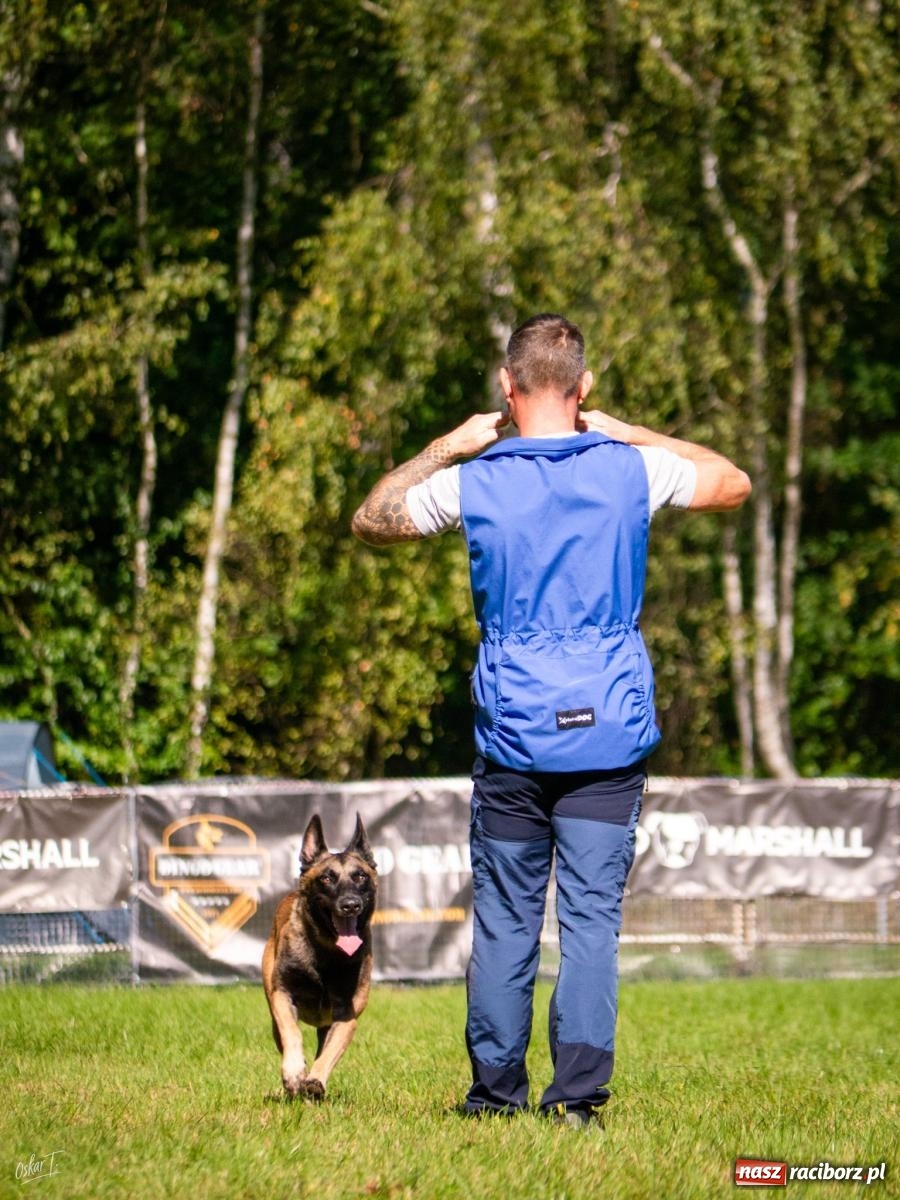 Zdjęcie w galerii na portalu naszraciborz.pl: Psy w akcji w Babicach. Trwa Mondioring Cup of Nations wiadomości z regionu