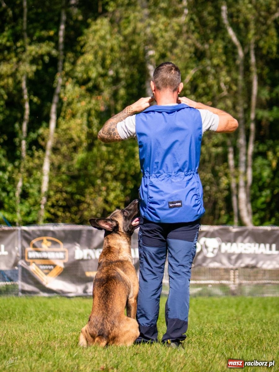 Zdjęcie w galerii na portalu naszraciborz.pl: Psy w akcji w Babicach. Trwa Mondioring Cup of Nations wiadomości z regionu