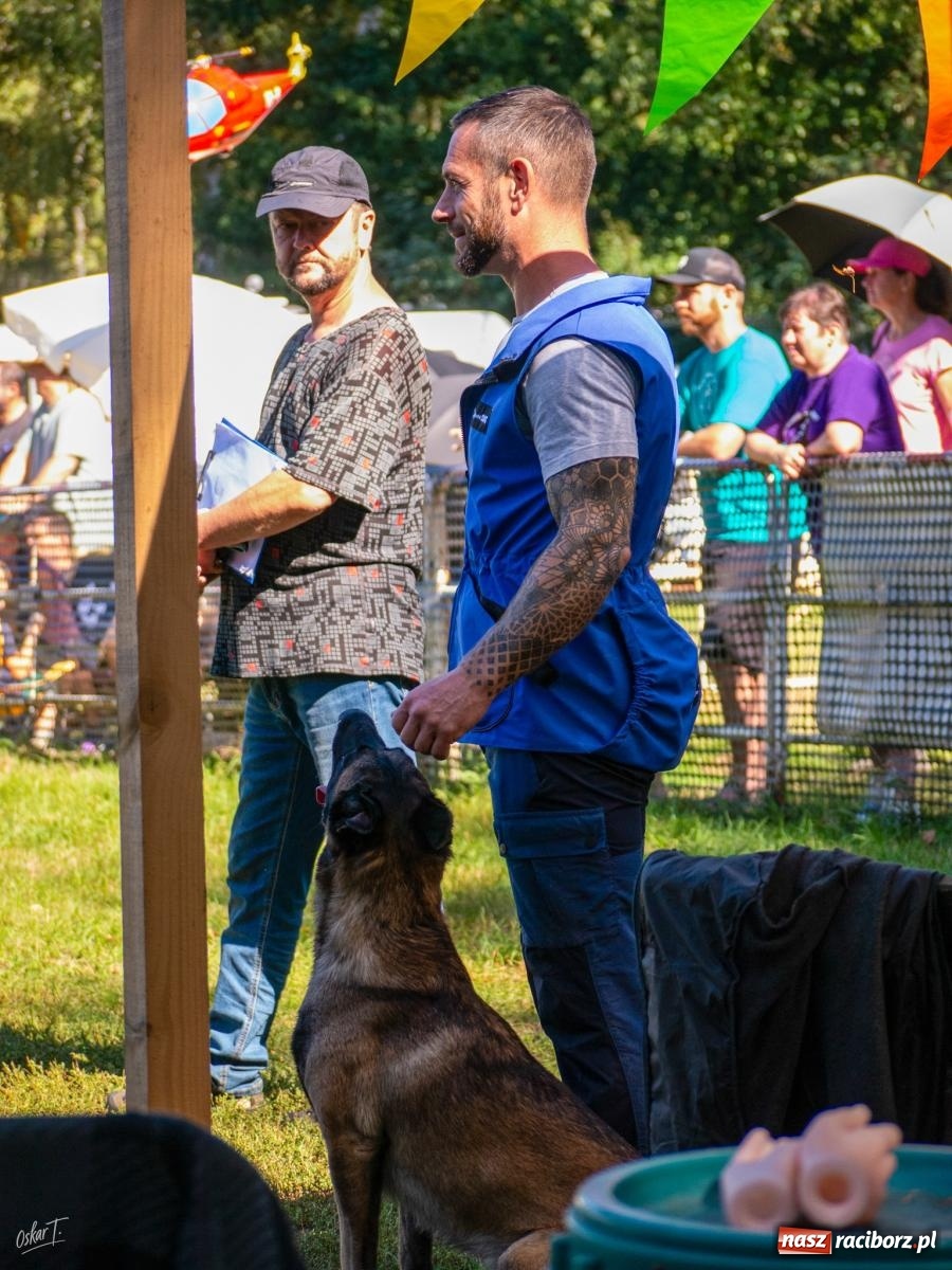 Zdjęcie w galerii na portalu naszraciborz.pl: Psy w akcji w Babicach. Trwa Mondioring Cup of Nations wiadomości z regionu