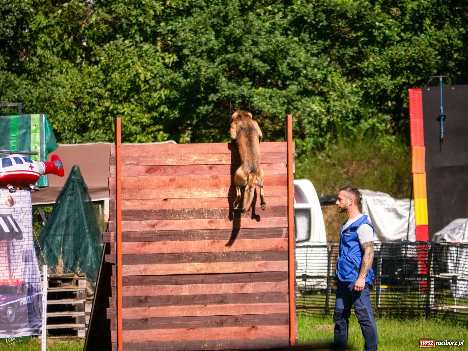 Zdjęcie w galerii na portalu naszraciborz.pl: Psy w akcji w Babicach. Trwa Mondioring Cup of Nations wiadomości z regionu