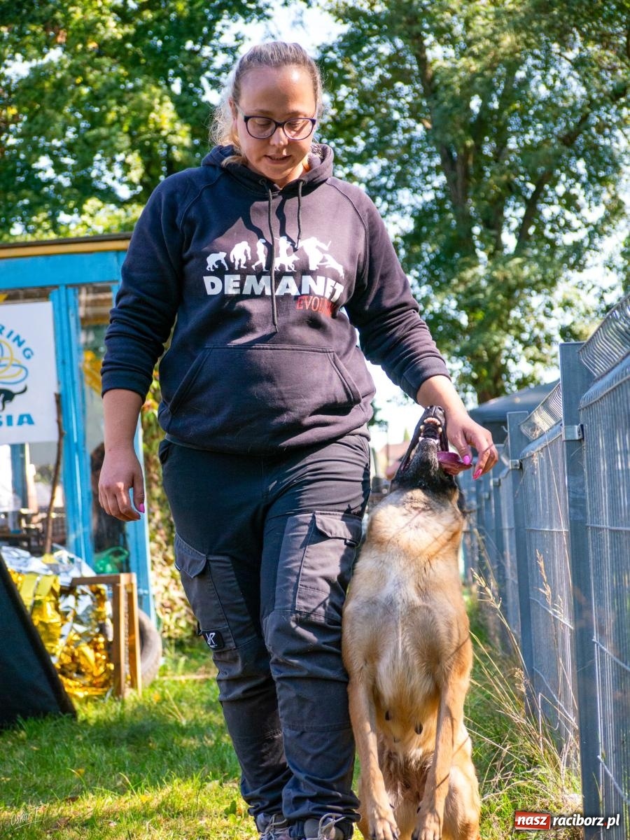 Zdjęcie w galerii na portalu naszraciborz.pl: Psy w akcji w Babicach. Trwa Mondioring Cup of Nations wiadomości z regionu