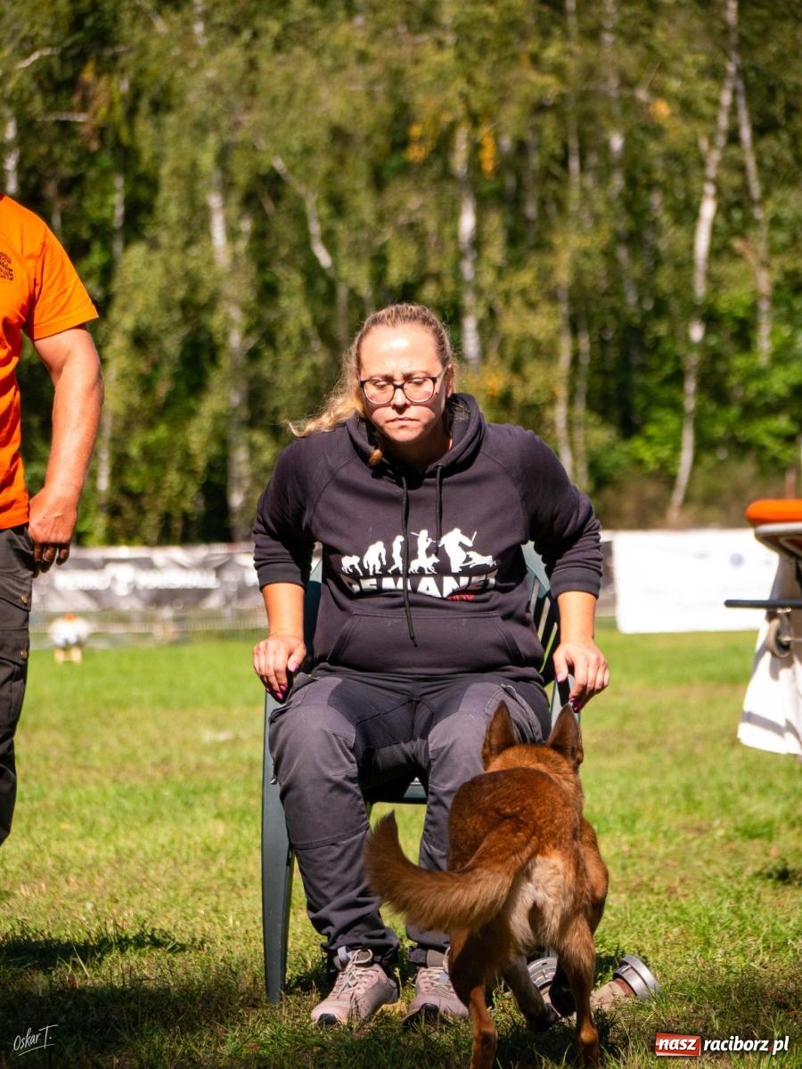 Zdjęcie w galerii na portalu naszraciborz.pl: Psy w akcji w Babicach. Trwa Mondioring Cup of Nations wiadomości z regionu
