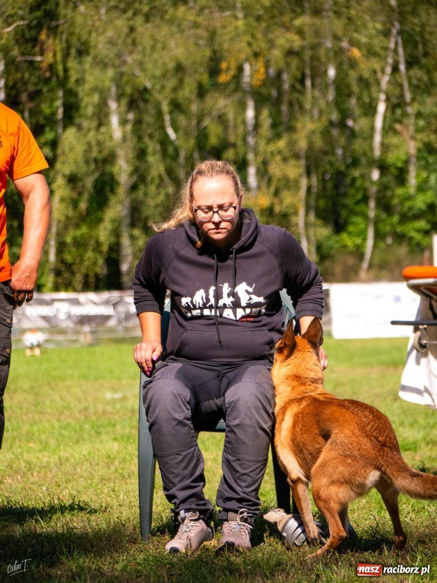 Zdjęcie w galerii na portalu naszraciborz.pl: Psy w akcji w Babicach. Trwa Mondioring Cup of Nations wiadomości z regionu