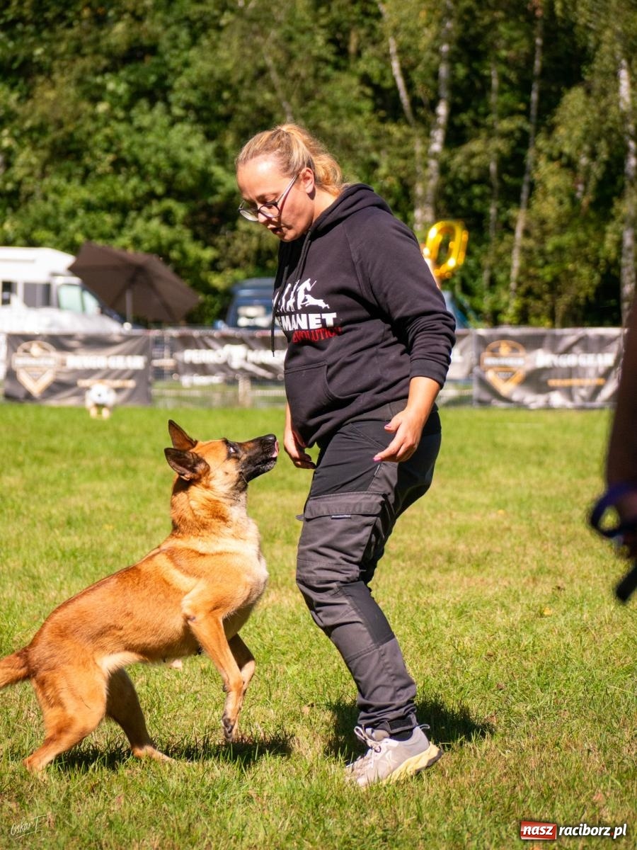 Zdjęcie w galerii na portalu naszraciborz.pl: Psy w akcji w Babicach. Trwa Mondioring Cup of Nations wiadomości z regionu