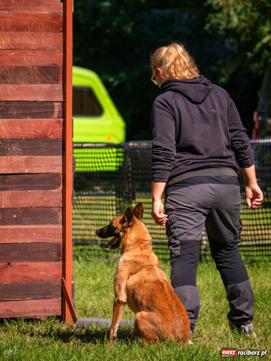 Zdjęcie w galerii na portalu naszraciborz.pl: Psy w akcji w Babicach. Trwa Mondioring Cup of Nations wiadomości z regionu