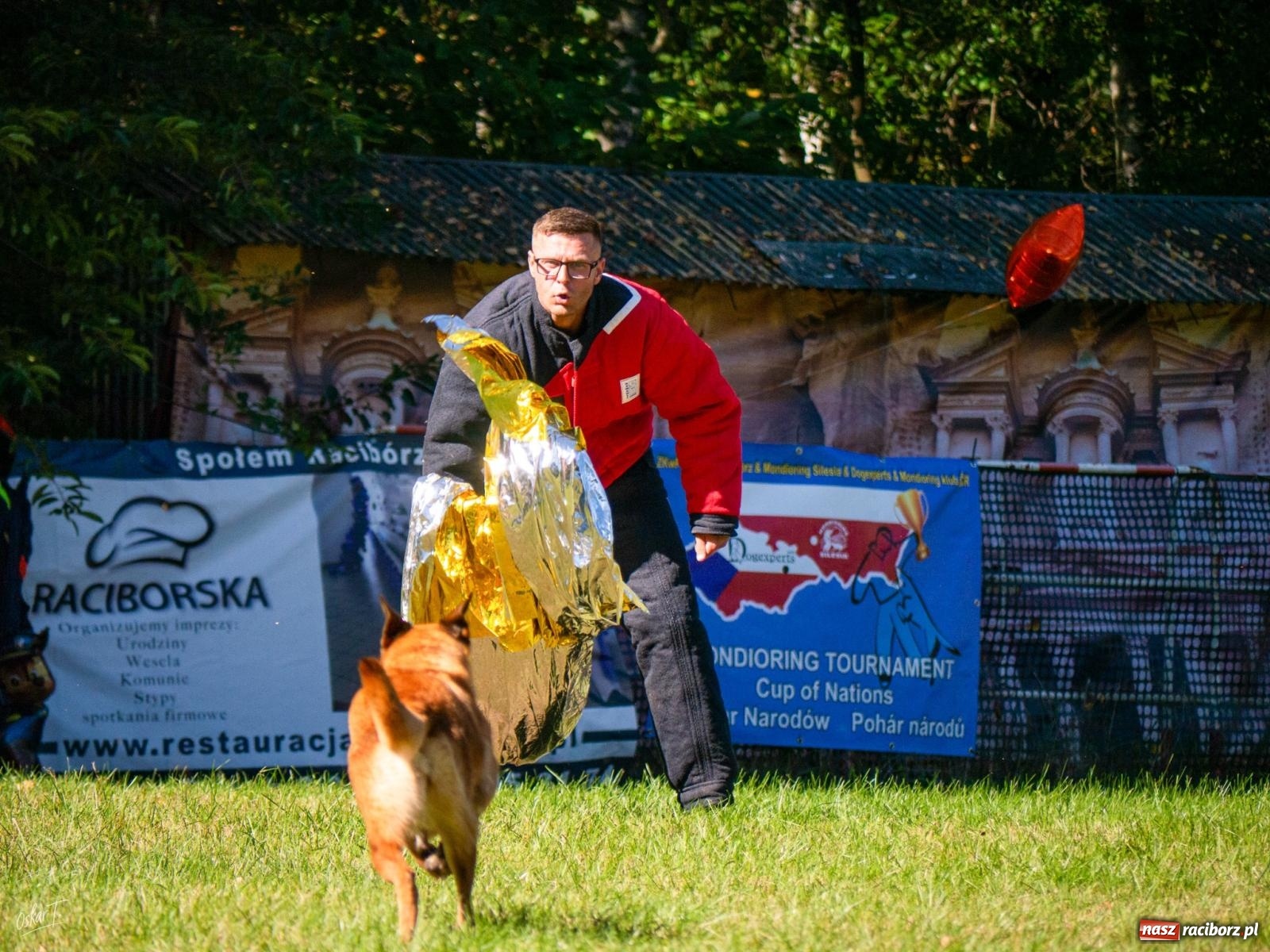 Zdjęcie w galerii na portalu naszraciborz.pl: Psy w akcji w Babicach. Trwa Mondioring Cup of Nations wiadomości z regionu