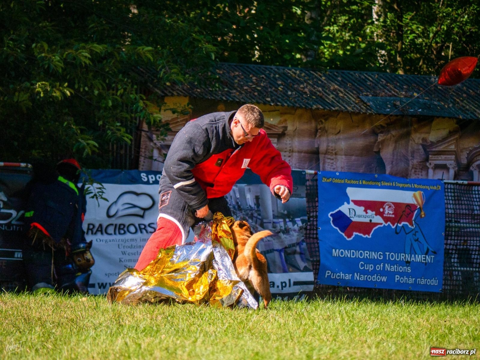 Zdjęcie w galerii na portalu naszraciborz.pl: Psy w akcji w Babicach. Trwa Mondioring Cup of Nations wiadomości z regionu