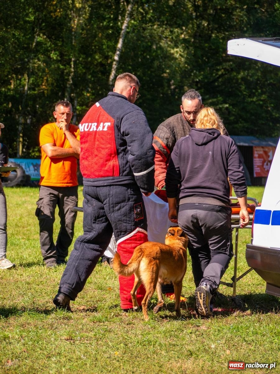 Zdjęcie w galerii na portalu naszraciborz.pl: Psy w akcji w Babicach. Trwa Mondioring Cup of Nations wiadomości z regionu