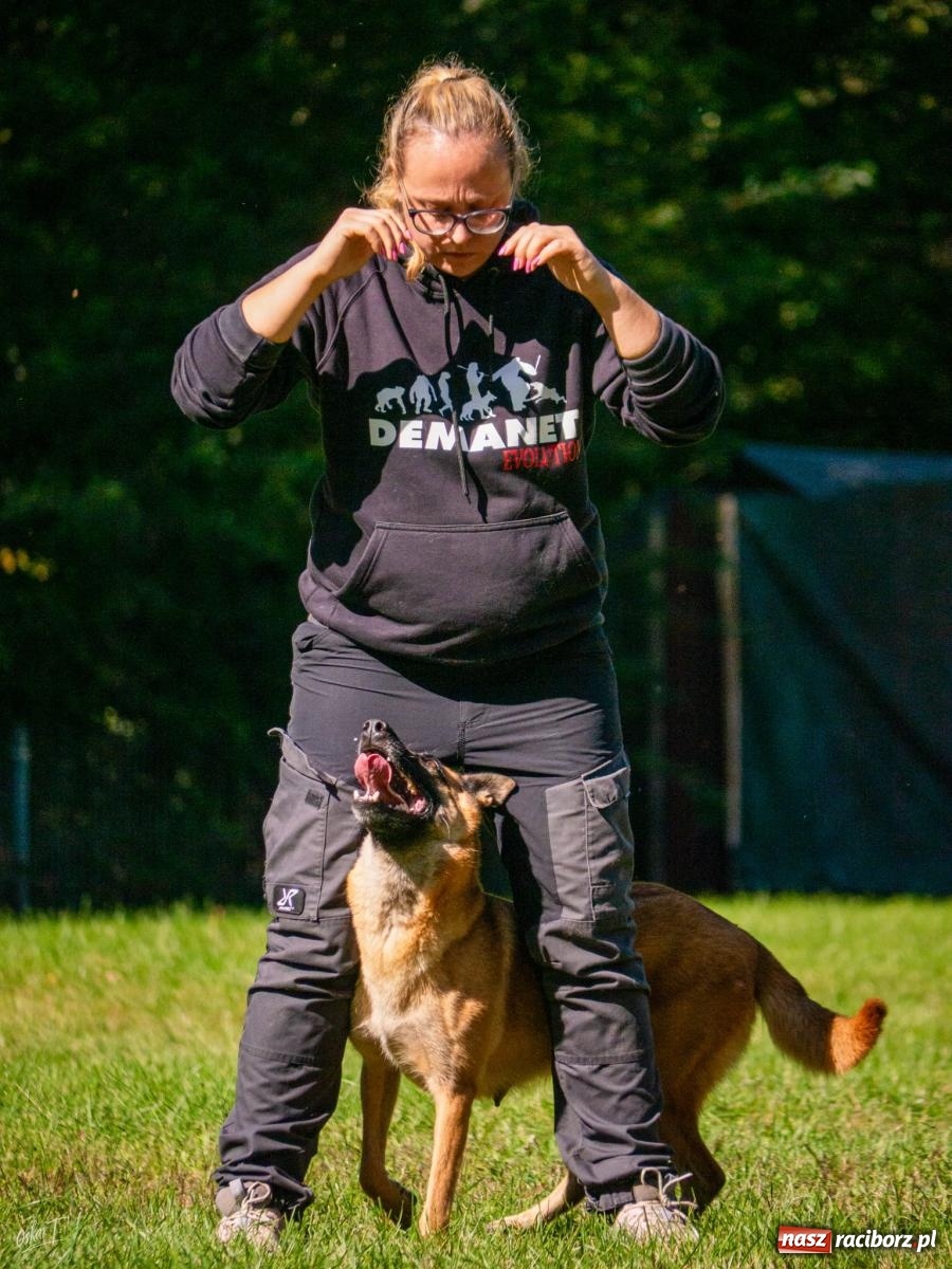 Zdjęcie w galerii na portalu naszraciborz.pl: Psy w akcji w Babicach. Trwa Mondioring Cup of Nations wiadomości z regionu