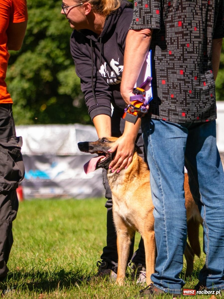 Zdjęcie w galerii na portalu naszraciborz.pl: Psy w akcji w Babicach. Trwa Mondioring Cup of Nations wiadomości z regionu