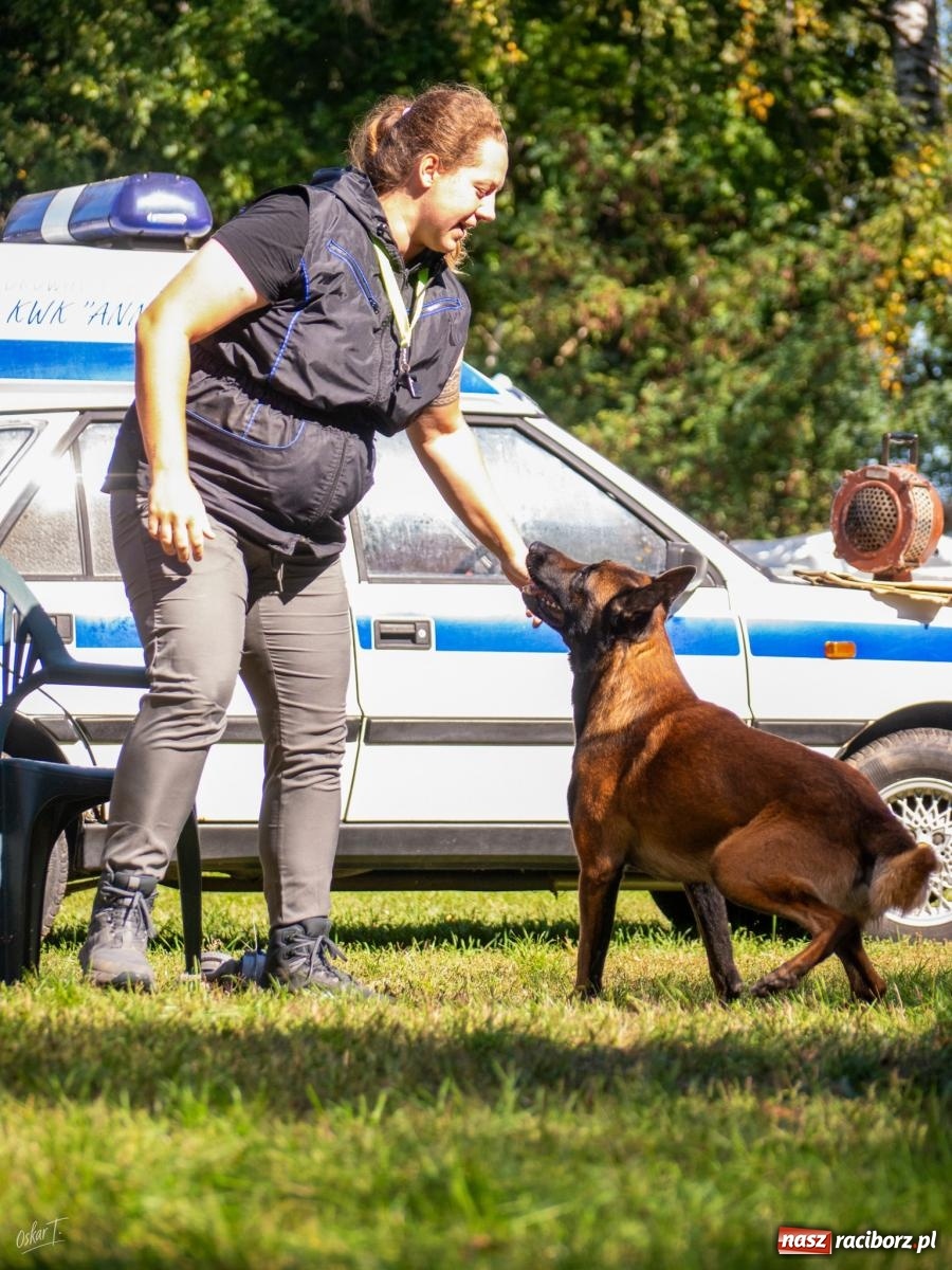 Zdjęcie w galerii na portalu naszraciborz.pl: Psy w akcji w Babicach. Trwa Mondioring Cup of Nations wiadomości z regionu