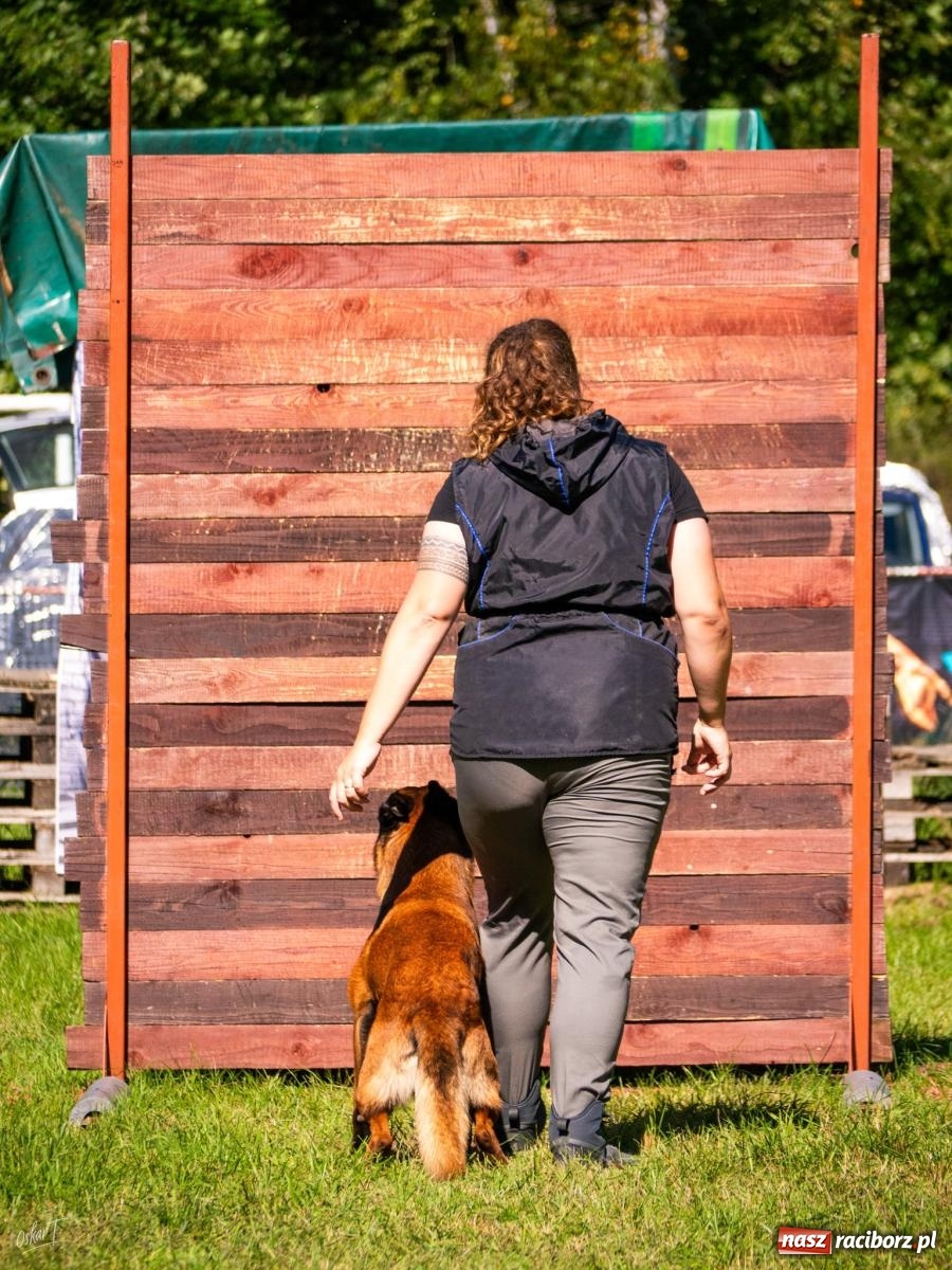 Zdjęcie w galerii na portalu naszraciborz.pl: Psy w akcji w Babicach. Trwa Mondioring Cup of Nations wiadomości z regionu