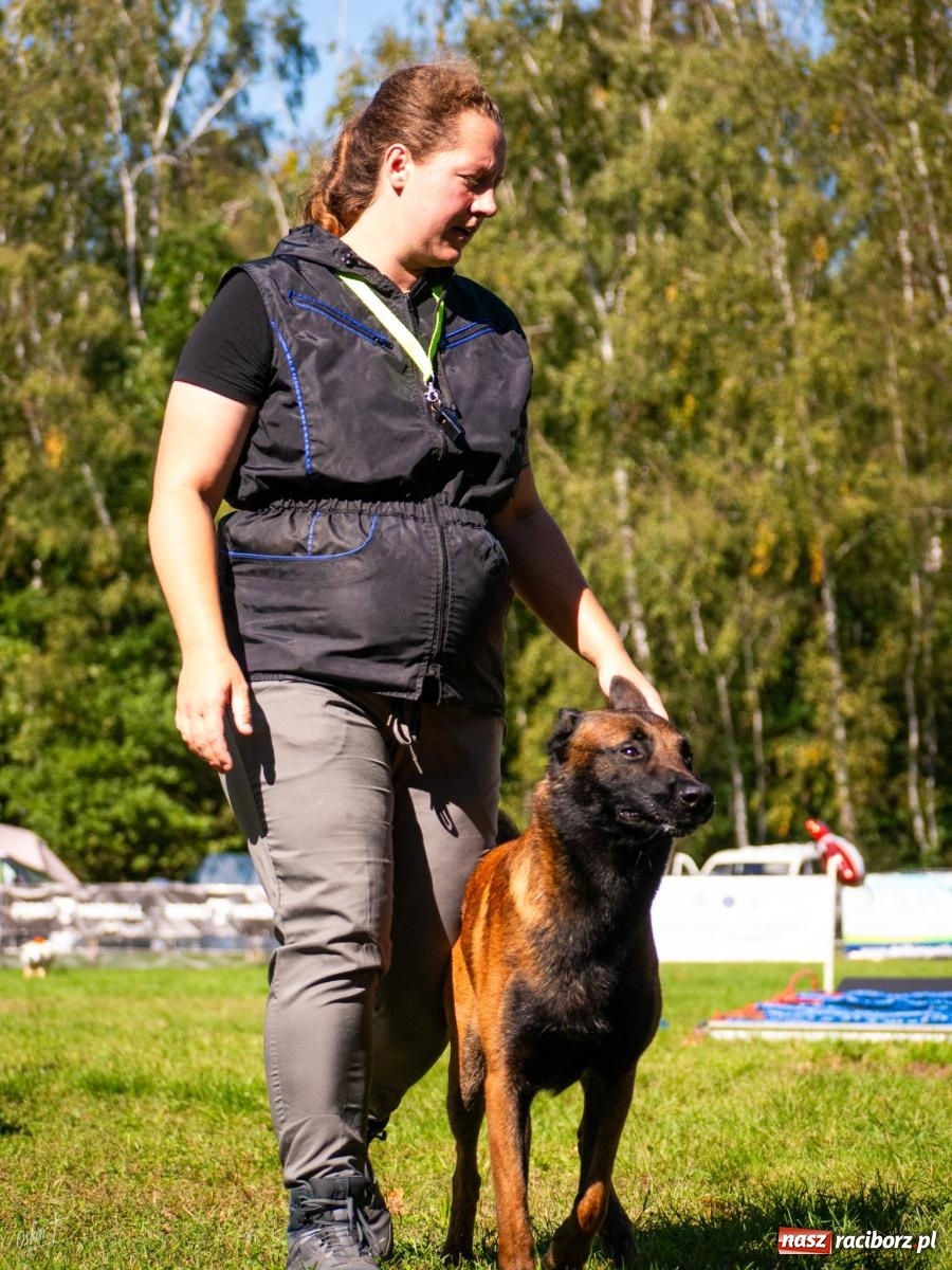 Zdjęcie w galerii na portalu naszraciborz.pl: Psy w akcji w Babicach. Trwa Mondioring Cup of Nations wiadomości z regionu