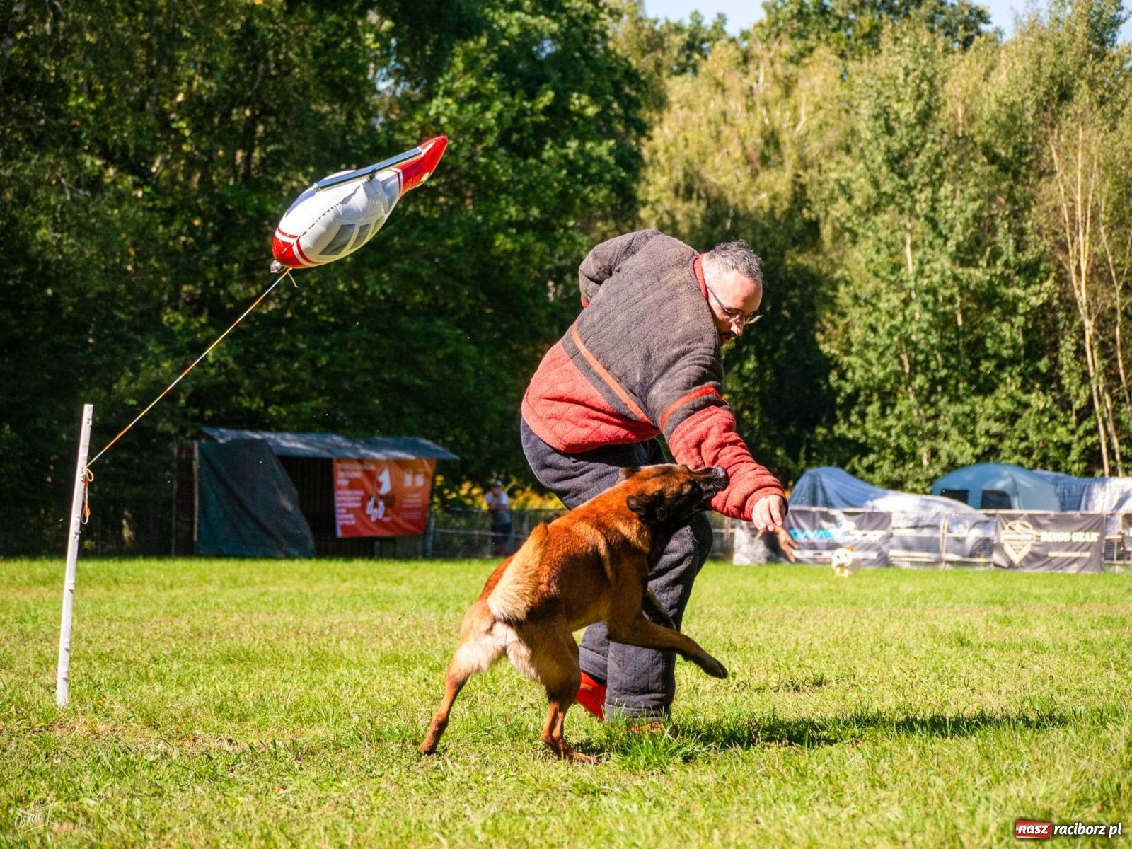 Zdjęcie w galerii na portalu naszraciborz.pl: Psy w akcji w Babicach. Trwa Mondioring Cup of Nations wiadomości z regionu