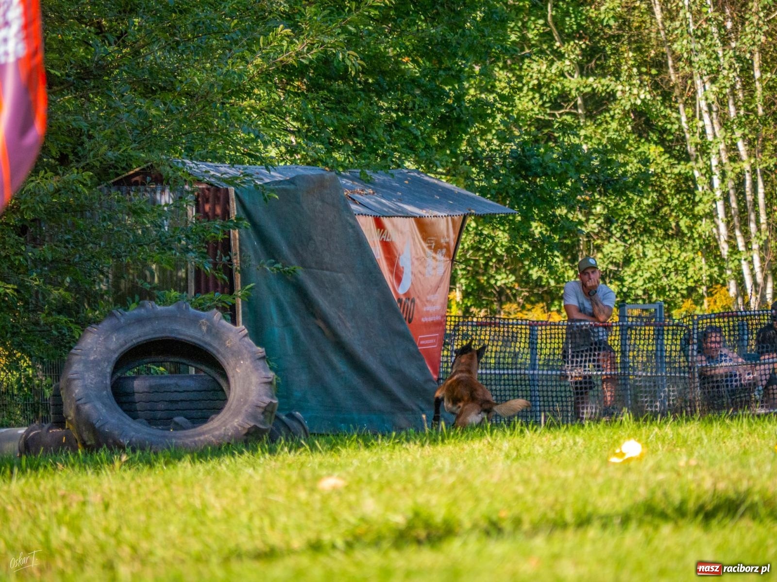 Zdjęcie w galerii na portalu naszraciborz.pl: Psy w akcji w Babicach. Trwa Mondioring Cup of Nations wiadomości z regionu
