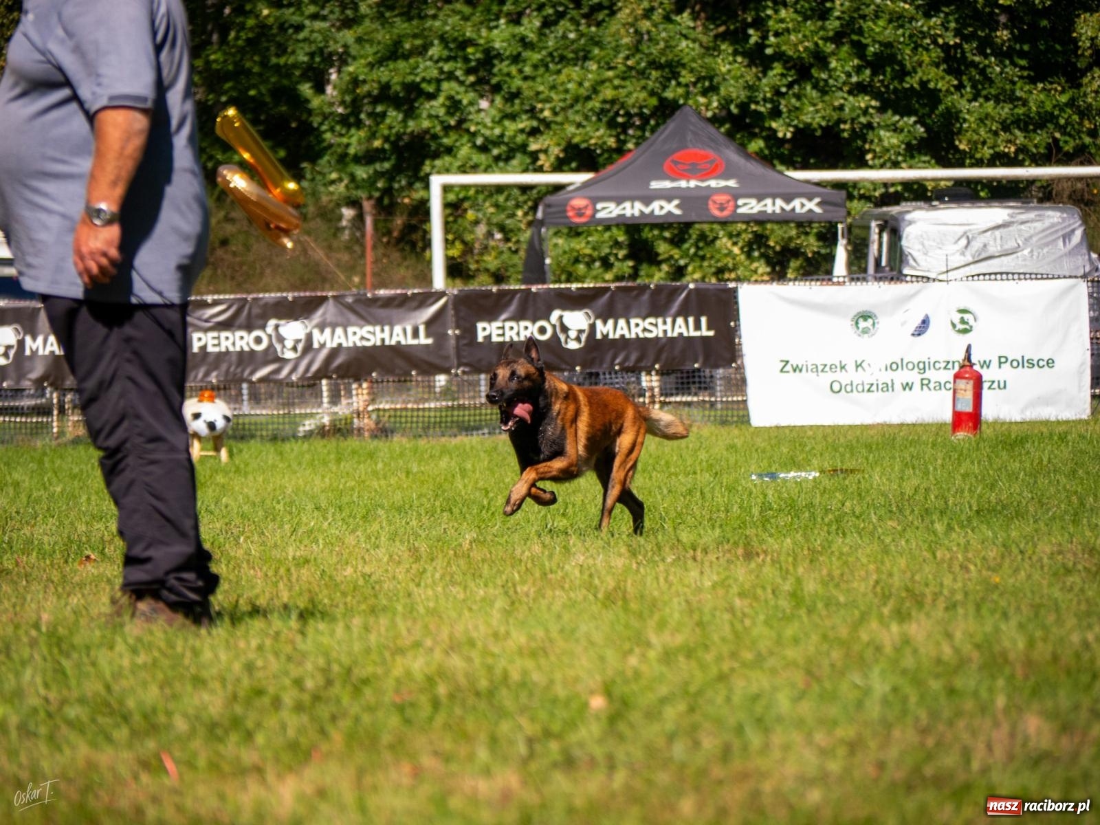 Zdjęcie w galerii na portalu naszraciborz.pl: Psy w akcji w Babicach. Trwa Mondioring Cup of Nations wiadomości z regionu
