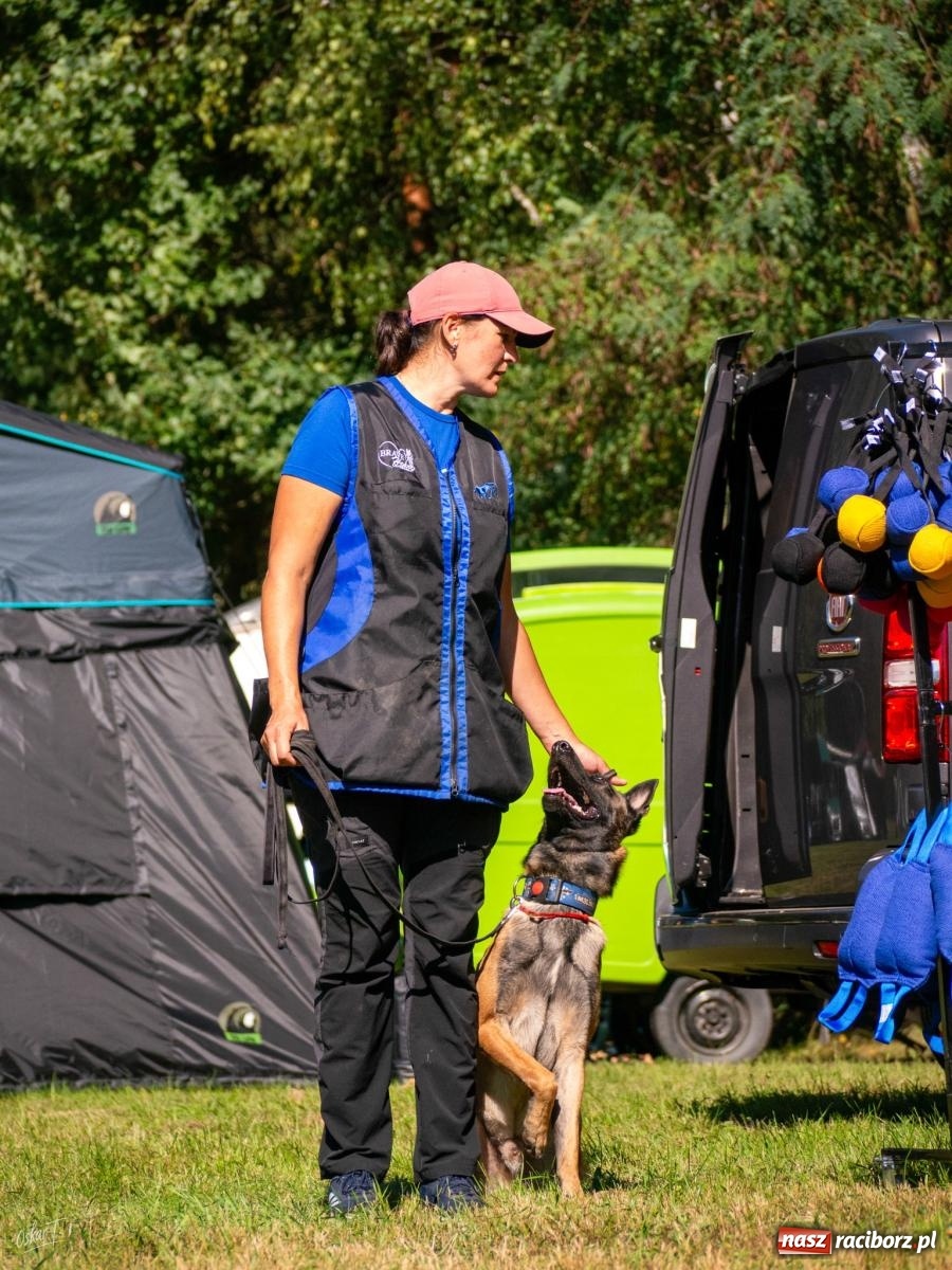 Zdjęcie w galerii na portalu naszraciborz.pl: Psy w akcji w Babicach. Trwa Mondioring Cup of Nations wiadomości z regionu