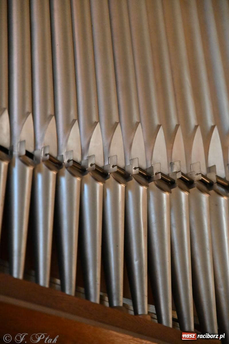Zdjęcie w galerii na portalu naszraciborz.pl: XXXVIII Dni Muzyki Organowej i Kameralnej im. Henryka Klai - koncert na Ostrogu wiadomości z regionu
