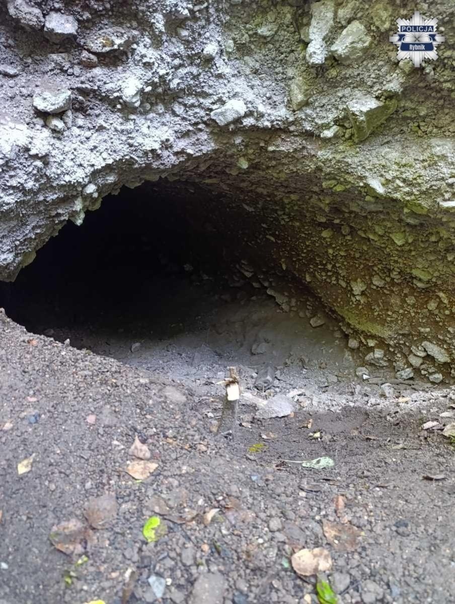 Zdjęcie w galerii na portalu naszraciborz.pl: Nieletni włamywacze ukrywali się w ziemiance na hałdach. Uciekli z placówki pod Raciborzem wiadomości z regionu